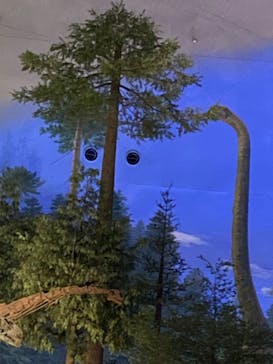 福井県立恐竜博物館に投稿された画像（2024/10/6）