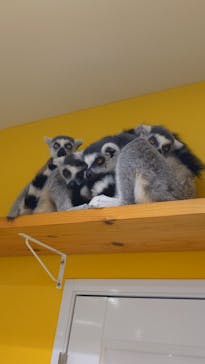 アニタッチ 東京ドームシティに投稿された画像（2024/10/6）