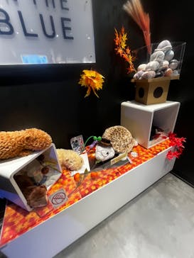 マクセル アクアパーク品川に投稿された画像（2024/10/6）