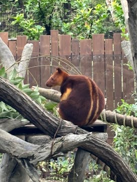 よこはま動物園ズーラシアに投稿された画像（2024/10/7）