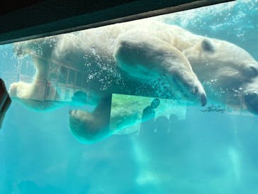 よこはま動物園ズーラシアに投稿された画像（2024/10/7）