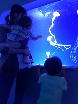 新江ノ島水族館に投稿された画像（2024/10/7）