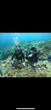 武藤潜水に投稿された画像（2024/10/7）