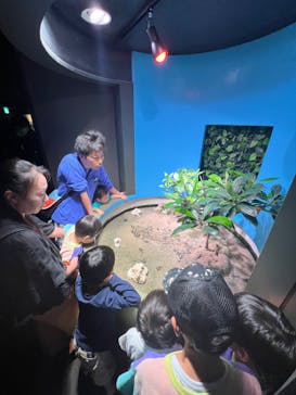 サンシャイン水族館に投稿された画像（2024/10/7）