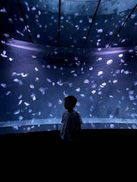 サンシャイン水族館に投稿された画像（2024/10/7）