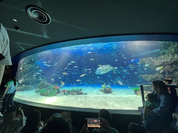 サンシャイン水族館に投稿された画像（2024/10/7）