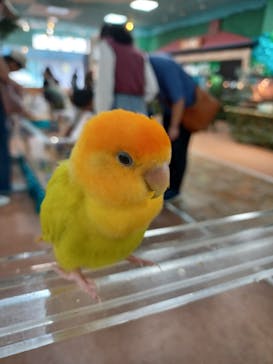 いきもの探検隊上尾に投稿された画像（2024/10/7）