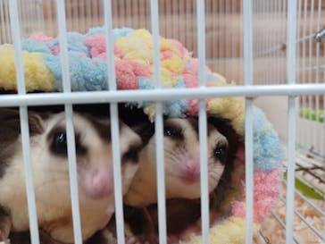 いきもの探検隊上尾に投稿された画像（2024/10/7）