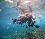 沖縄マリンサービス碧に投稿された画像（2024/10/7）