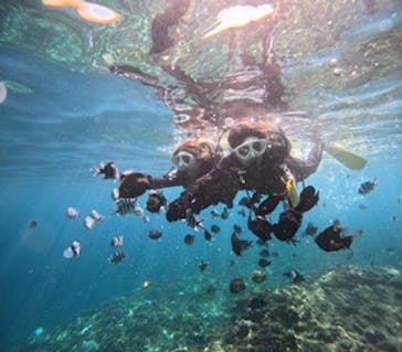 沖縄マリンサービス碧に投稿された画像（2024/10/7）