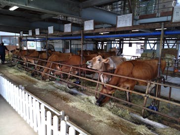 牧歌の里に投稿された画像（2024/10/7）