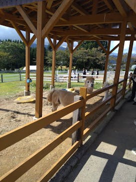 牧歌の里に投稿された画像（2024/10/7）