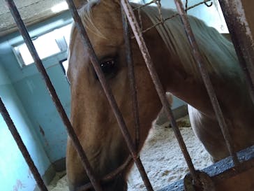 牧歌の里に投稿された画像（2024/10/7）