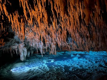 おきなわワールドに投稿された画像（2024/10/7）