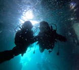 沖縄マリンサービス碧に投稿された画像（2024/10/7）