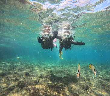 沖縄マリンサービス碧に投稿された画像（2024/10/7）