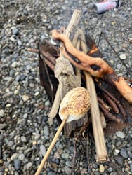 Kiaora Paddle（キオラ パドル）に投稿された画像（2024/10/7）