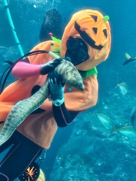 下田海中水族館に投稿された画像（2024/10/7）