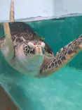 仙台うみの杜水族館に投稿された画像（2024/10/7）