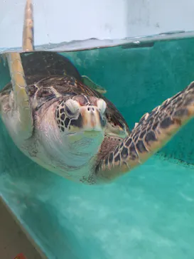 仙台うみの杜水族館に投稿された画像（2024/10/7）