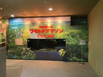 世界淡水魚園水族館　アクア・トトぎふに投稿された画像（2024/10/7）