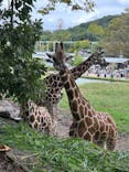 名古屋市東山動植物園に投稿された画像（2024/10/7）