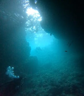 沖縄マリンサービス碧に投稿された画像（2024/10/7）