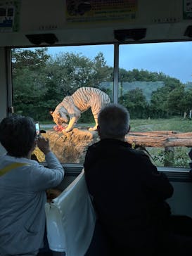 群馬サファリパークに投稿された画像（2024/10/7）