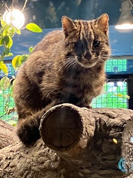 那須どうぶつ王国に投稿された画像（2024/10/7）