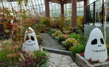 安城産業文化公園デンパークに投稿された画像（2024/10/7）