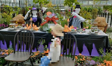 安城産業文化公園デンパークに投稿された画像（2024/10/7）