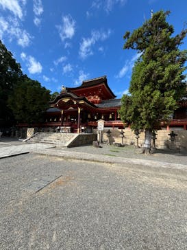 京阪電車に投稿された画像（2024/10/7）