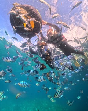 武藤潜水に投稿された画像（2024/10/7）