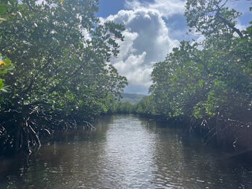 西表島 ADVENTURE PiPi（アドベンチャーピピ）に投稿された画像（2024/10/7）