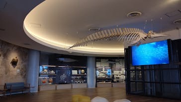 アクアワールド茨城県大洗水族館に投稿された画像（2024/10/7）