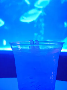 すみだ水族館に投稿された画像（2024/10/7）