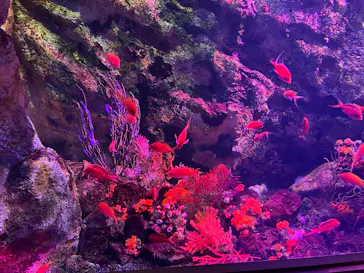 仙台うみの杜水族館に投稿された画像（2024/10/7）
