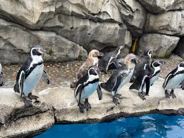 仙台うみの杜水族館に投稿された画像（2024/10/7）