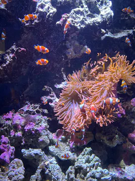 仙台うみの杜水族館に投稿された画像（2024/10/7）