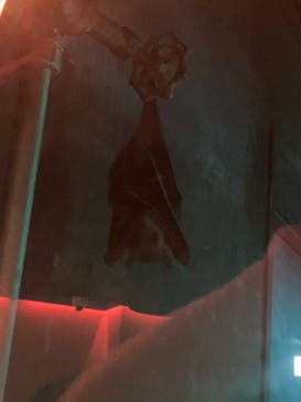 カワスイ 川崎⽔族館に投稿された画像（2024/10/7）