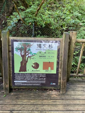 Yamakara屋久島に投稿された画像（2024/10/7）