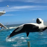 鴨川シーワールドに投稿された画像（2024/10/7）