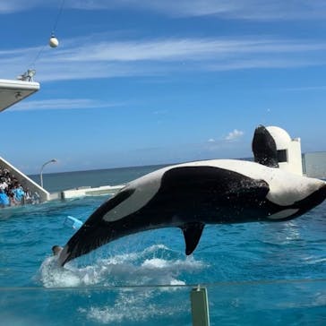 鴨川シーワールドに投稿された画像（2024/10/7）