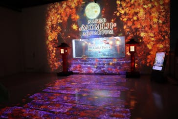 マクセル アクアパーク品川に投稿された画像（2024/10/7）