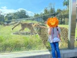 千葉市動物公園に投稿された画像（2024/10/7）