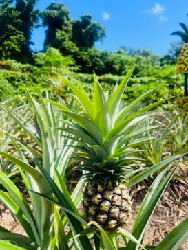 おきなわワールドに投稿された画像（2024/10/7）