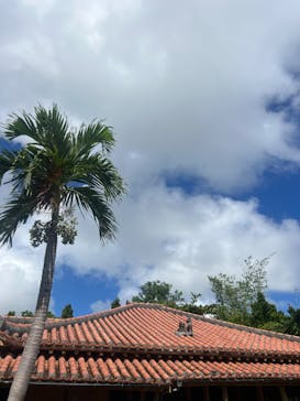 おきなわワールドに投稿された画像（2024/10/7）