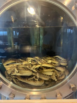 おきなわワールドに投稿された画像（2024/10/7）