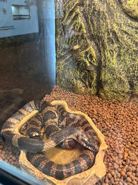 おきなわワールドに投稿された画像（2024/10/7）