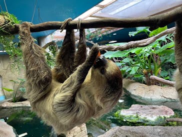 那須どうぶつ王国に投稿された画像（2024/10/7）